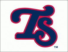 Tennessee Smokies 2010-Pres Cap Logo heat sticker