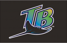 Tampa Bay Rays 1998-2000 Cap Logo 02 heat sticker