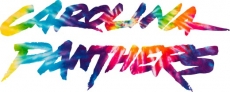 Carolina Panthers rainbow spiral tie-dye logo heat sticker