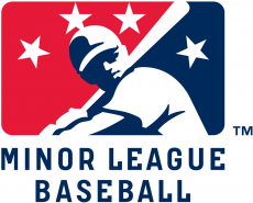 Minor League Baseball 2008-Pres Primary Logo heat sticker