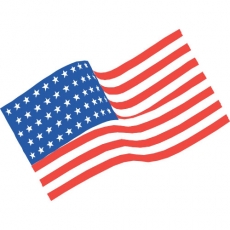 Flag Logo 04 heat sticker