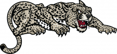 Lafayette Leopards 2000-Pres Partial Logo custom vinyl decal