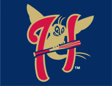 Harrisburg Senators 2007-Pres Cap Logo heat sticker