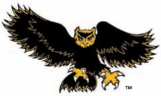Kennesaw State Owls 1992-2011 Alternate Logo 02 custom vinyl decal