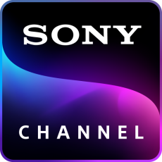 Sony brand logo 03 heat sticker