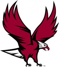 NCCU Eagles 2006-Pres Partial Logo heat sticker