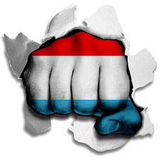 Fist Luxembourg Flag Logo custom vinyl decal