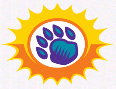 Orlando Solar Bears 2012 13-Pres Secondary Logo custom vinyl decal