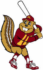 Minnesota Golden Gophers 1986-Pres Mascot Logo 07 heat sticker