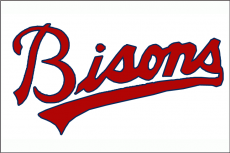 Buffalo Bisons 1988-1997 Jersey Logo heat sticker