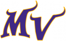Minnesota Vikings 2004-Pres Alternate Logo heat sticker