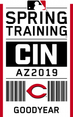 Cincinnati Reds 2019 Event Logo custom vinyl decal