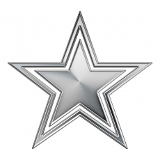 Dallas Cowboys Silver Logo custom vinyl decal