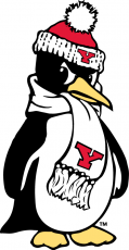 Youngstown State Penguins 1993-Pres Alternate Logo 03 custom vinyl decal