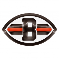 Cleveland Browns Crystal Logo heat sticker