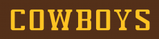 Wyoming Cowboys 2006-2012 Wordmark Logo 01 heat sticker