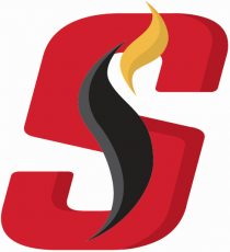Stockton Heat 2015 16-Pres Alternate Logo 2 custom vinyl decal