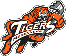 Medicine Hat Tigers 1998 99-2002 03 Primary Logo heat sticker