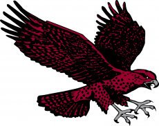 Maryland-Eastern Shore Hawks 2007-Pres Secondary Logo heat sticker