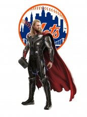 New York Mets Logo heat sticker