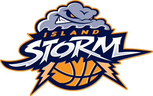 Island Storm 2013-Pres Primary Logo heat sticker