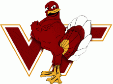 Virginia Tech Hokies 2000-Pres Alternate Logo custom vinyl decal