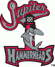 Jupiter Hammerheads 1998-2002 Primary Logo heat sticker