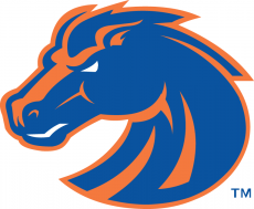 Boise State Broncos 2002-2012 Secondary Logo custom vinyl decal