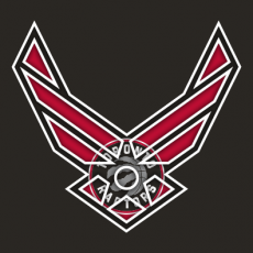 Airforce Toronto Raptors Logo heat sticker
