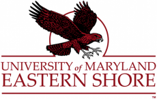 Maryland-Eastern Shore Hawks 2007-Pres Alternate Logo 02 heat sticker