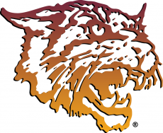 Bethune-Cookman Wildcats 2000-2015 Primary Logo heat sticker
