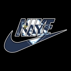 Tampa Bay Rays Nike logo heat sticker