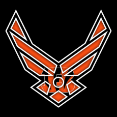 Airforce Cincinnati Bengals logo heat sticker