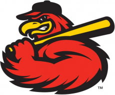 Rochester Red Wings 2014-Pres Alternate Logo 4 heat sticker