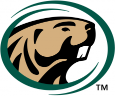 Bemidji State Beavers 2004-Pres Primary Logo custom vinyl decal