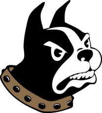 Wofford Terriers 2015-Pres Primary Logo heat sticker