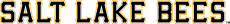 Salt Lake Bees 2015-Pres Wordmark Logo 2 heat sticker