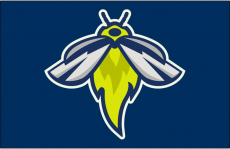 Columbia Fireflies 2016-Pres Cap Logo 2 heat sticker