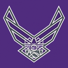 Airforce Sacramento Kings logo heat sticker
