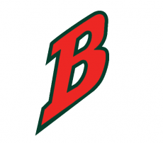Buffalo Bisons 1998-2003 Cap Logo heat sticker