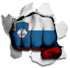 Fist Slovenia Flag Logo heat sticker