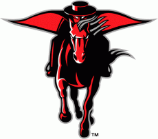 Texas Tech Red Raiders 2000-Pres Alternate Logo heat sticker