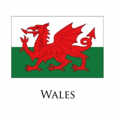 Wales flag logo heat sticker