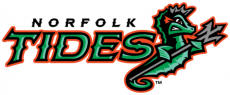 Norfolk Tides 2016-Pres Primary Logo heat sticker