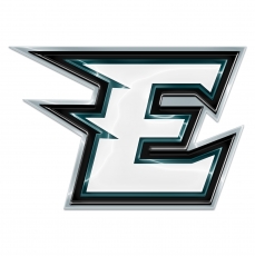 Philadelphia Eagles Crystal Logo heat sticker