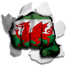 Fist Wales Flag Logo custom vinyl decal
