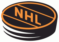 National Hockey League 1994-2004 Alternate Logo heat sticker