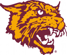 Bethune-Cookman Wildcats 2000-2015 Alternate Logo heat sticker