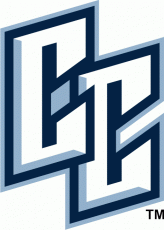 Charlotte Checkers 2007-2010 Alternate Logo 2 heat sticker