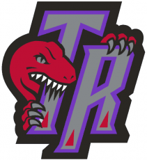 Toronto Raptors 1995-2006 Alternate Logo 01 heat sticker